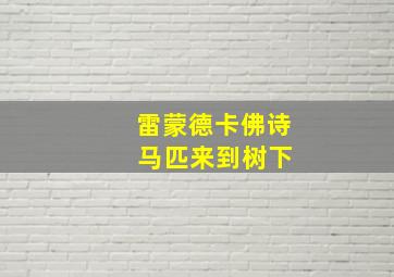 雷蒙德卡佛诗 马匹来到树下